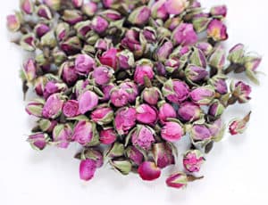 Rosa damascena buds