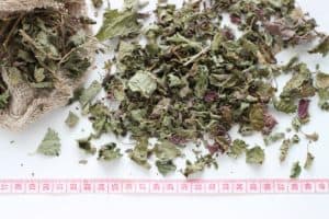 маточина лист