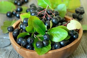 aronia 
